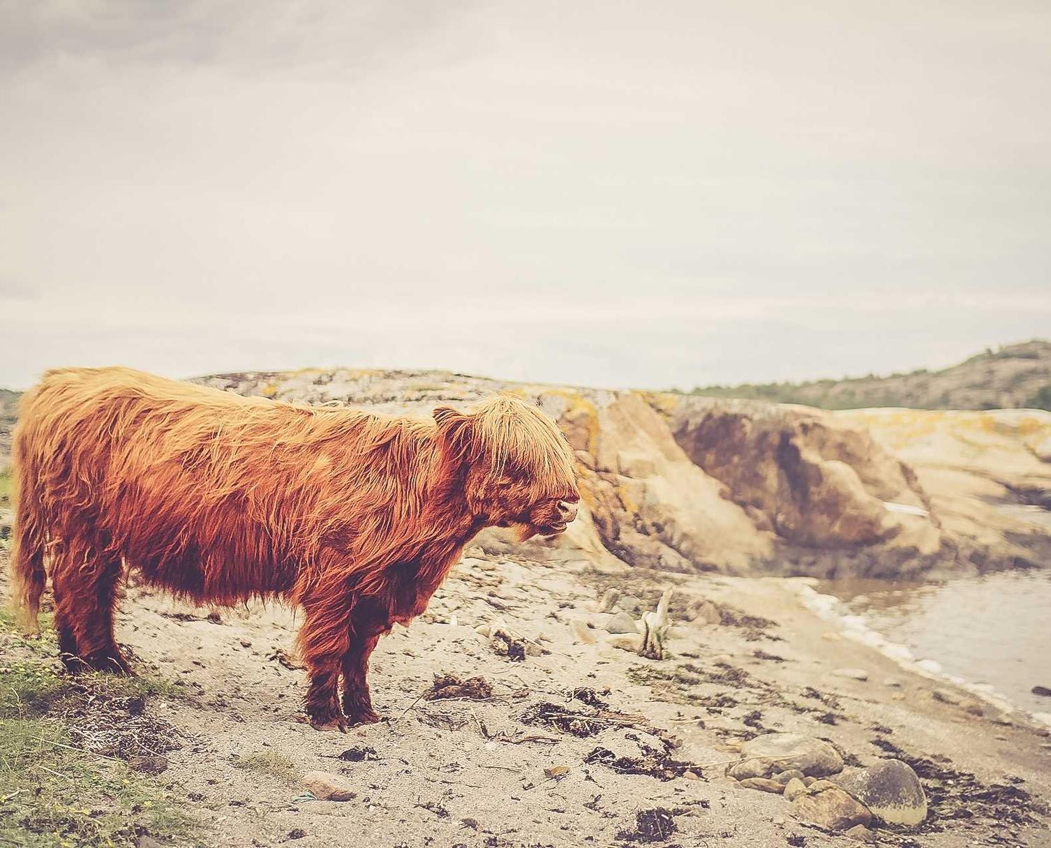 吸烟场所的评估与改善