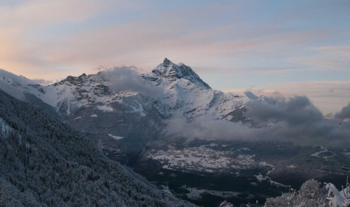 DDOS attack|详情下载教程德务app