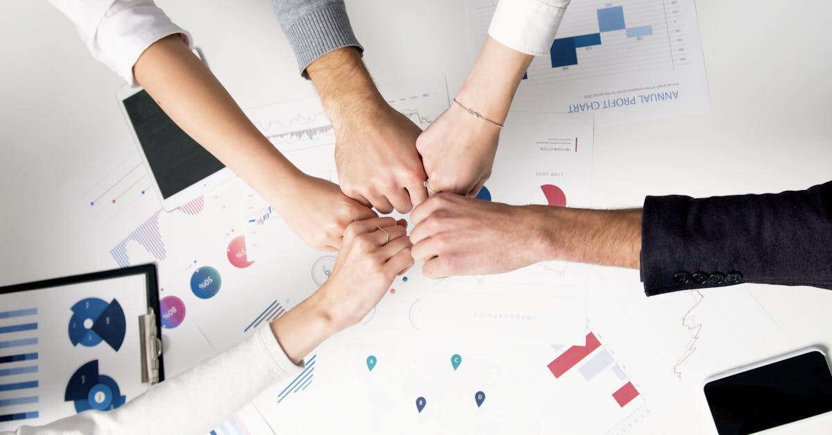 欧盟白金万宝路:云帆app详情下载教程