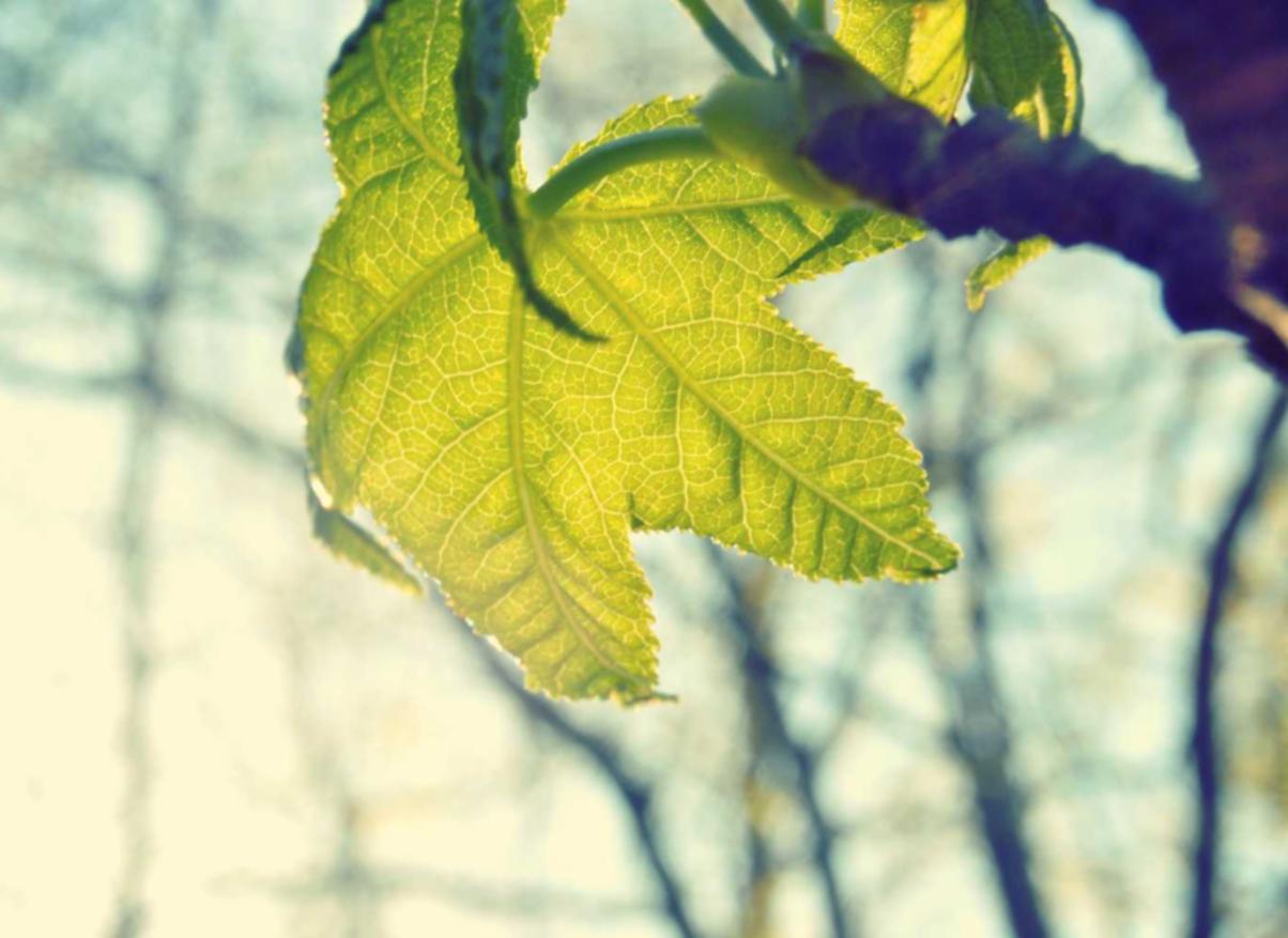 DDOS接单平台|投资平台个人代理