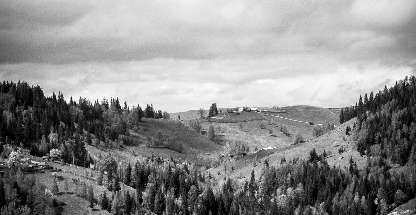 全新GPU版本TRX波场靓号地址生成器-程序 星链剧场