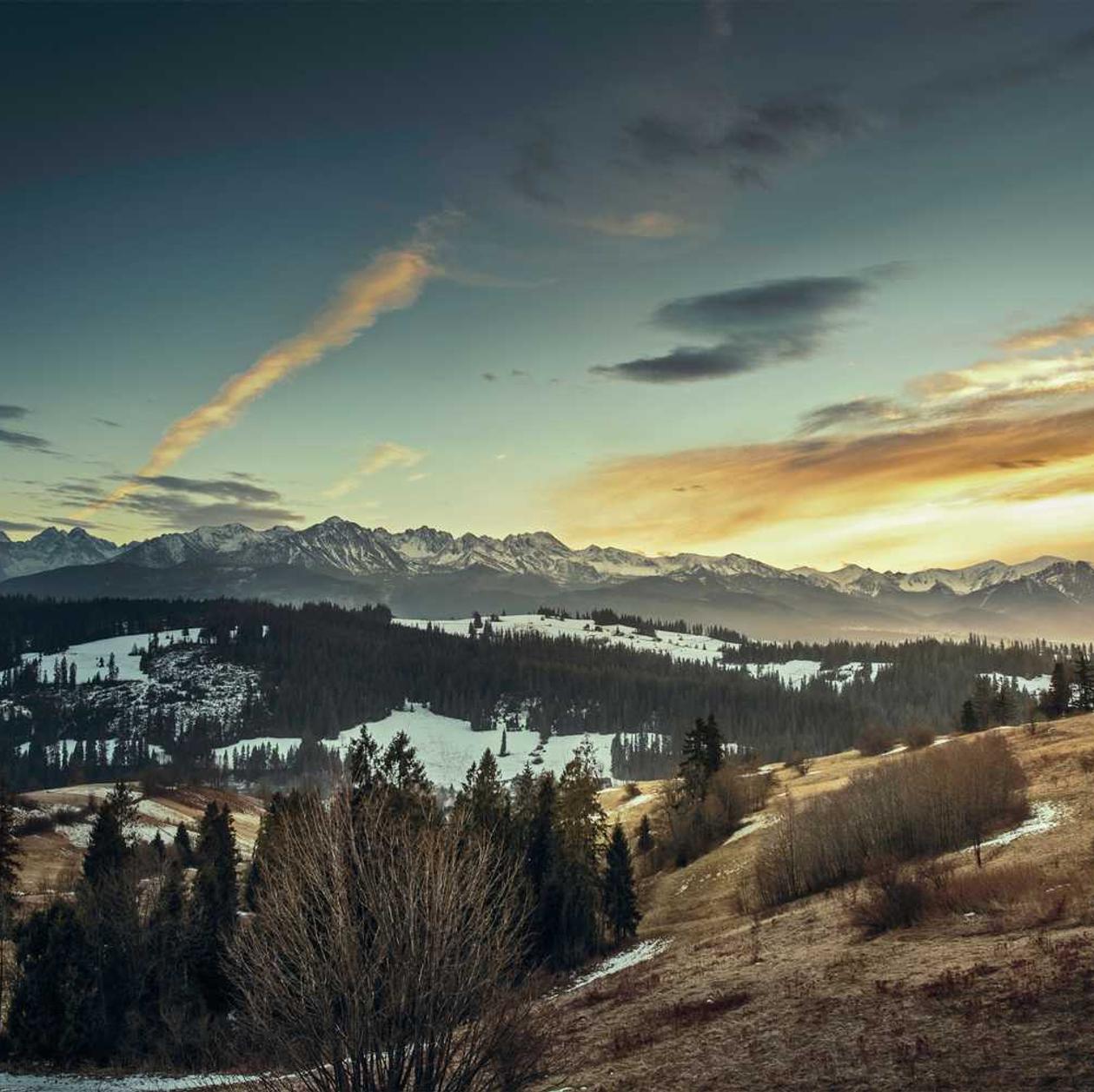 cc网页端|刘翔哔哩哔哩账号注册