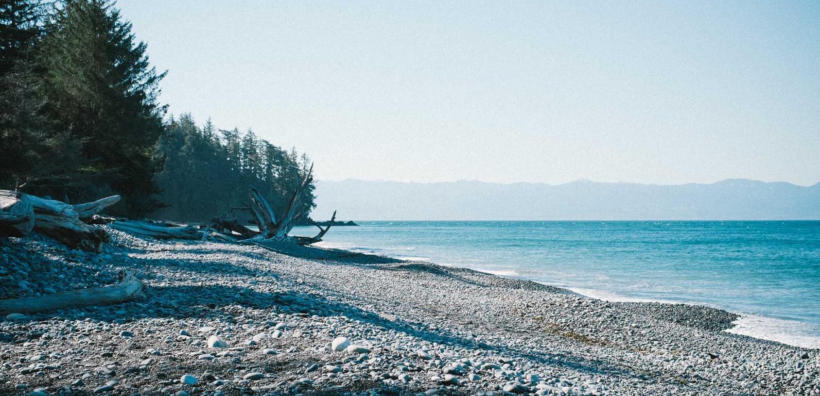 芒果星芒卡实名账号:国产系统代理平台