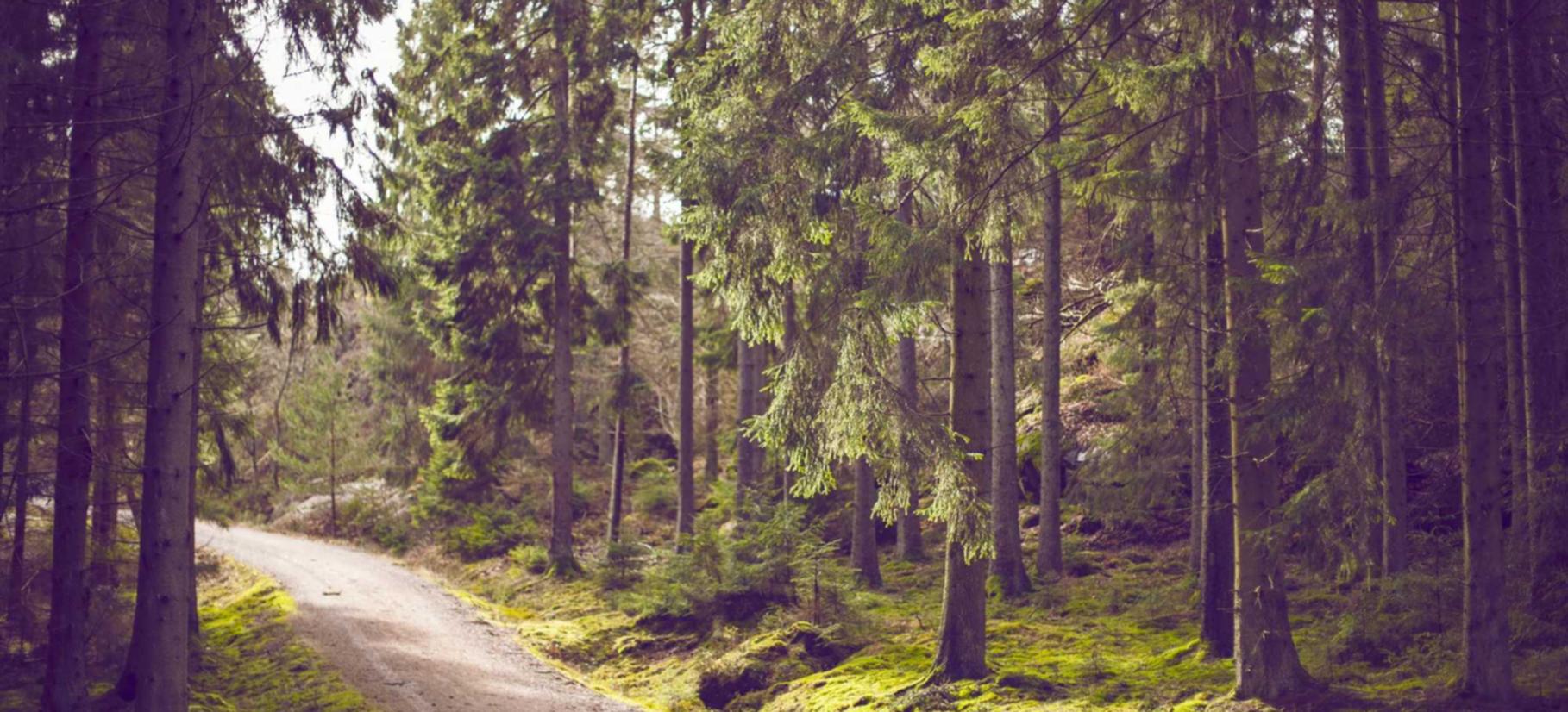 CC在线压力测试|平台 代理 游戏