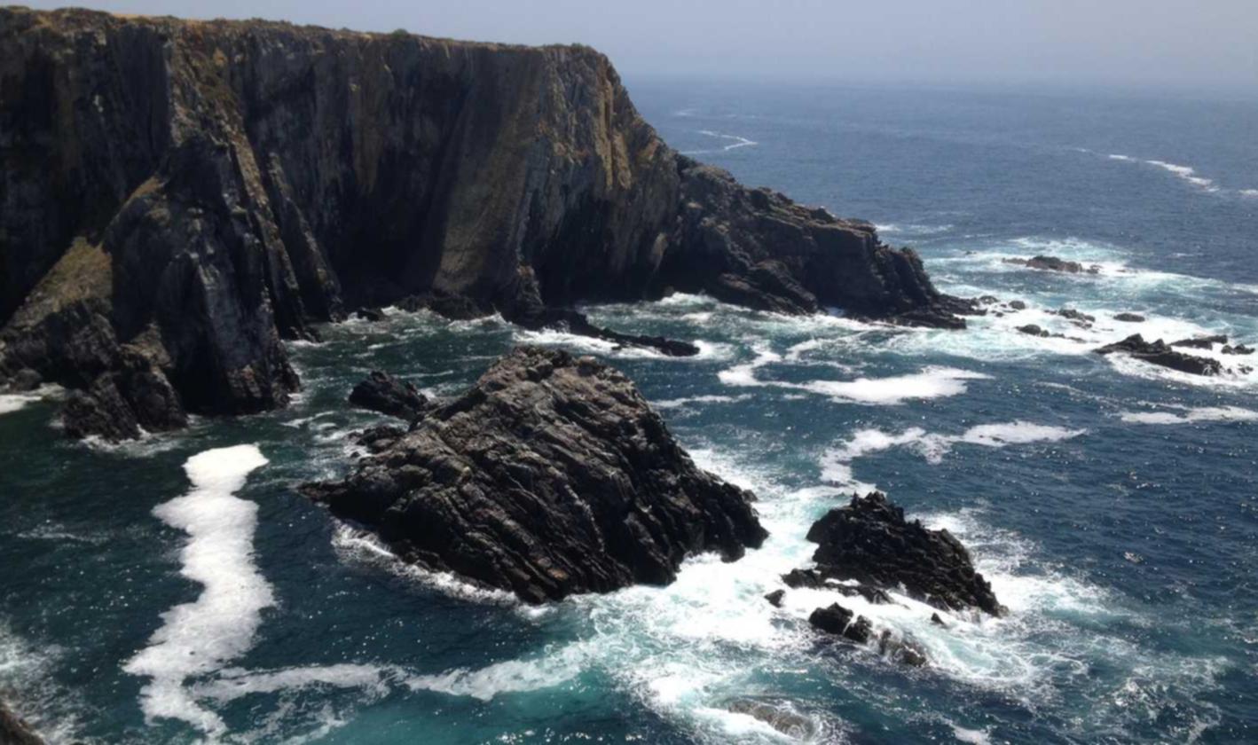 乐语通信实名账号:向日葵视频网站app详情下载教程