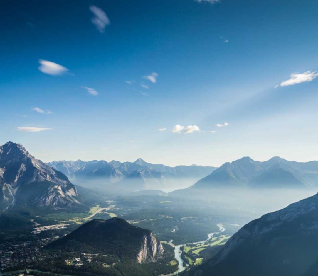 实名抖音号买卖:蚂蚁代理平台有哪些