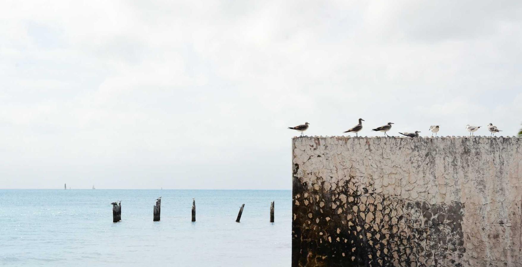 微信买卖：芯片代理平台