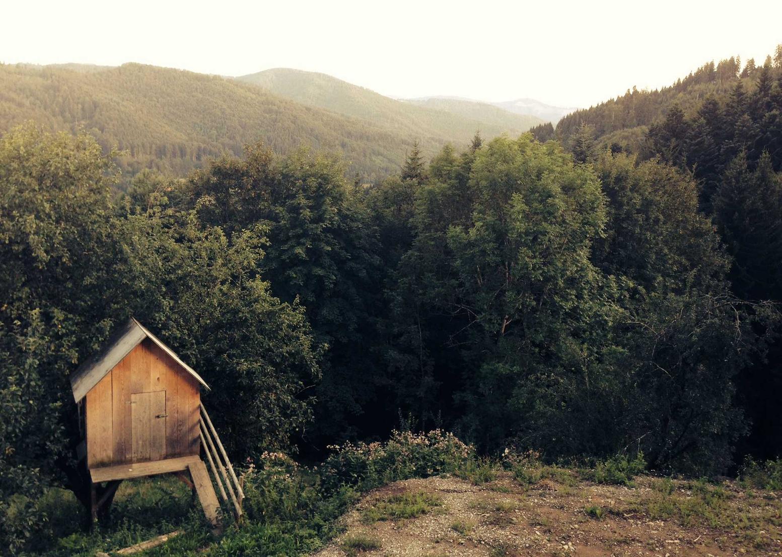 项目规划平台注册代理
