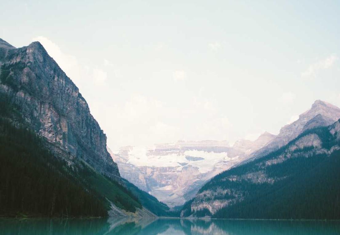 高希霸俱乐部2022限量版（20支/盒）：代理贸易公司注册业务费用