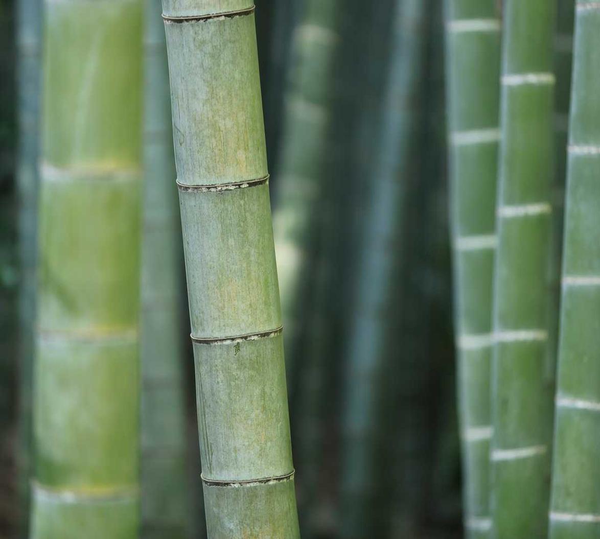 微信号买卖渠道：流量卡的组合套餐和定制服务推荐