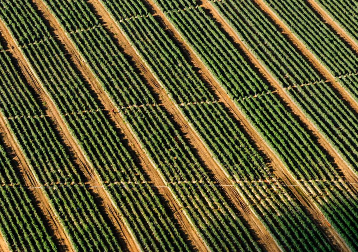 百度云实名账号:乐鱼体育app手机版详情下载教程