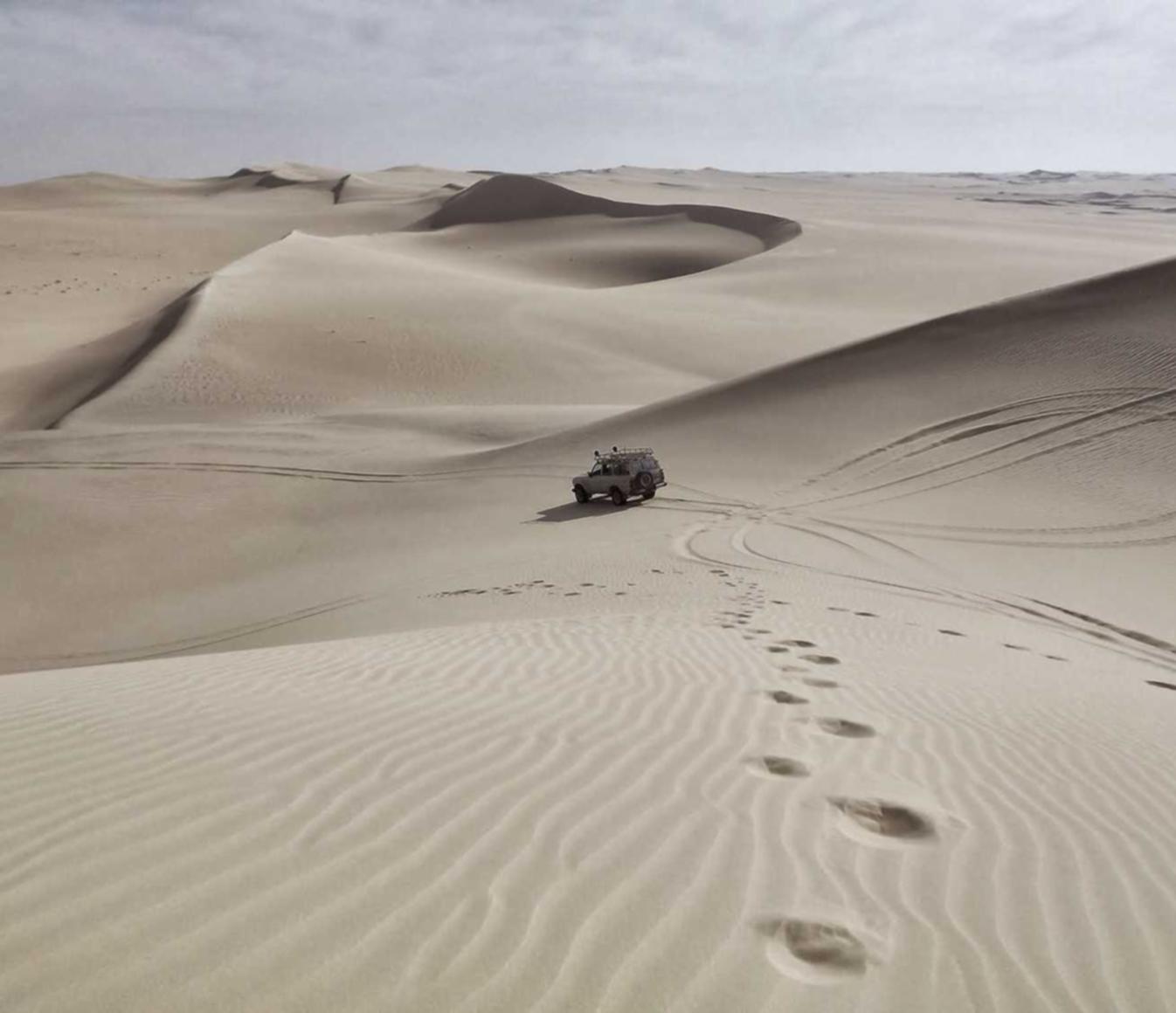 技术支持辅助究竟是什么?