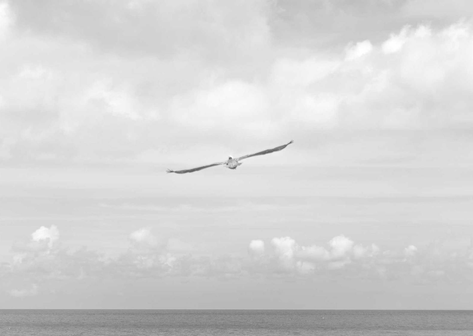 魂斗罗：归来：美团外卖怎么取消注册账号